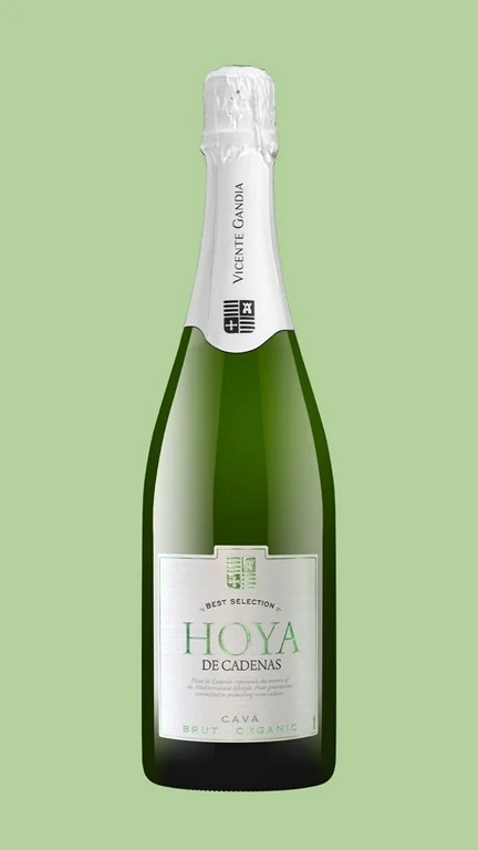 Hoya de Cadenas Organic Cava Brut DOC od Vincente Gandia